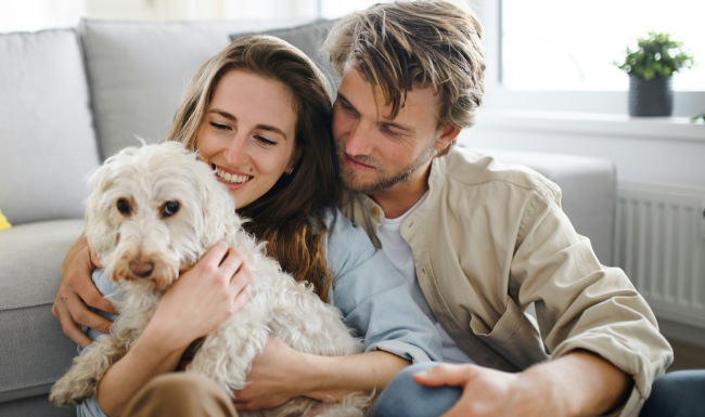 Pet-Friendly Community